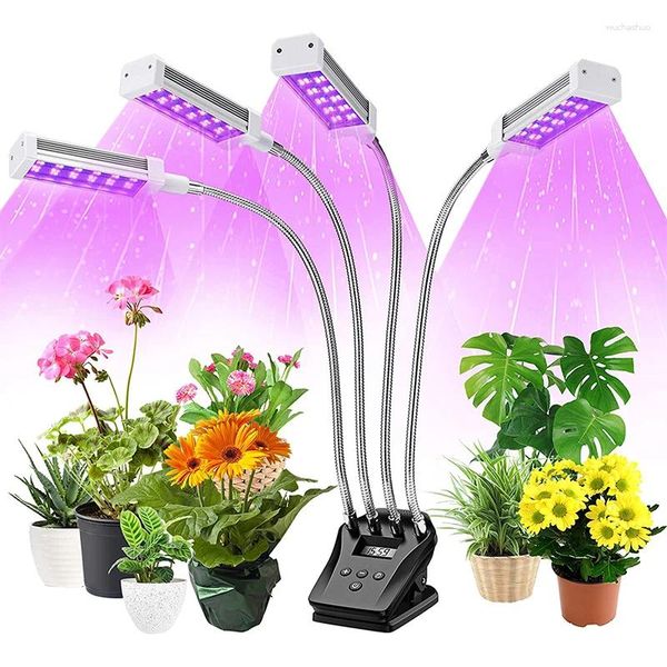 Coltiva le luci 4 testa schermo LCD dimmerabile per VEG piantina succulenta Fitolampy 360 ° lampada per la crescita dei semi 3/6/12 impostazione dell'ora spettro rosso/blu