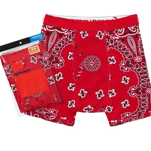 Unisex 2 Parça/Paket Moda iç çamaşırı brifs erkek mayo pamuk boksör kısa nefes alabilen mektup underpants şort 7 renk ydz