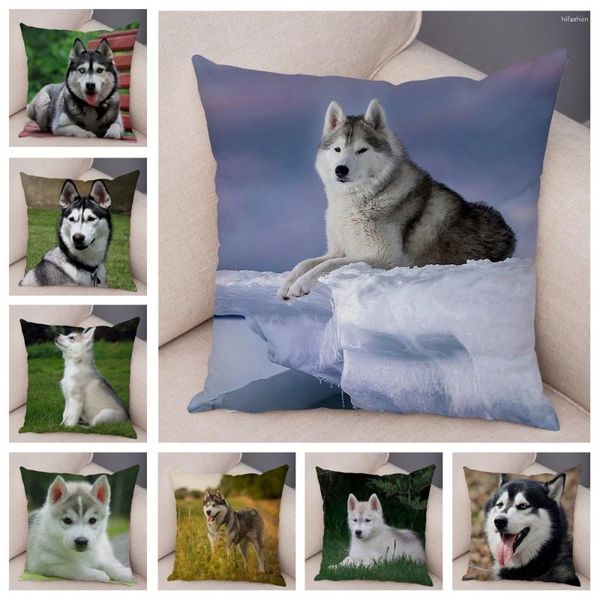 Cuscino Simpatico animale Federa Decor Siberian Husky Copertura per divano Casa Custodia per cani in peluche super morbida 45 45 cm