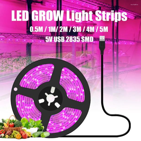 Grow Lights Full Spectrum Fito Lambası USB 5V LED Işık Şerit Bant 2835 SMD Bitki Çiçek Kapalı Sera Tohumları Kültivo Hidroponik