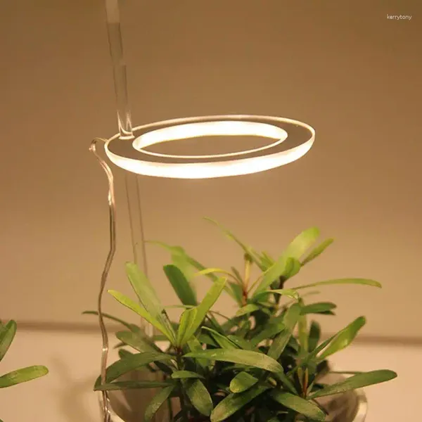 Kapalı bitkiler için ışıklar 3W LED Bitki Işığı Zamanlayıcı Tam Spektrum Masaüstü Lamba Succulents Saksı