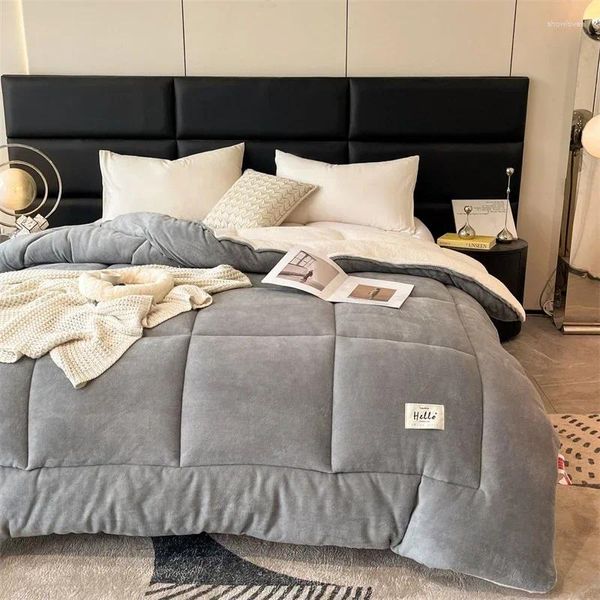 Coperte super spesse invernali calde per letti Velluto di latte addensato calore Coperta per dormire Semplice e confortevole piumino king size