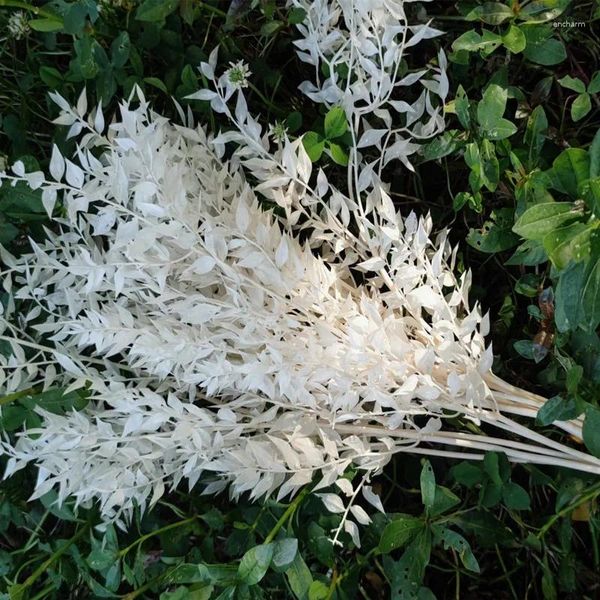 Fiori decorativi Bouquet di erba secca naturale di foglie di Ruscus per la decorazione della stanza di casa Decorazione della disposizione della tavola di nozze della parete del fiore dell'albero dei bonsai