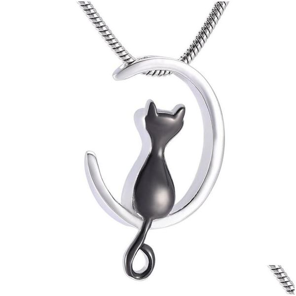 Anhänger Halsketten IJD10014 Trichter Geschenkbox Hochwertiger Edelstahl Feuerbestattung Schmuck Haustier Katze Asche Halter Andenken Schmuck300D Dr Dhk5D