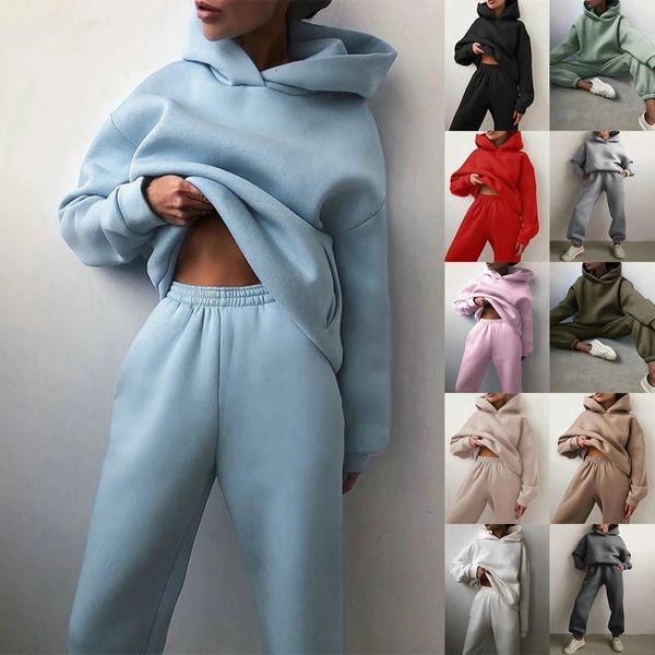 Trailsuits Kadın Atletizm Track ve Field Field Hoodie Sıradan Katı Uzun Kollu Yün Sıcak Hoodie Sportswear Hoodie Zippered Pantolon İki Parçalı Set 231219