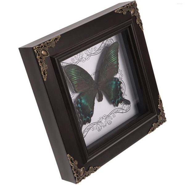 Quadros Po Display Holder DIY Frame Home Decor Handmade Specimen Butterfly Insect Wall Pendurado