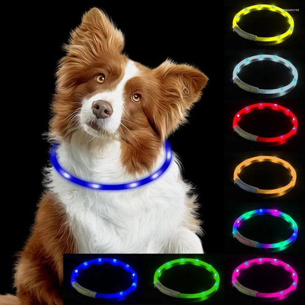 Hundehalsbänder Zubehör Haustier Nacht Sicherheit blinkendes Leuchthalsband LED USB leuchtende Ladung