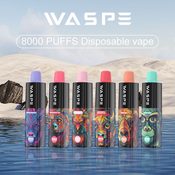 WASPE Sıcak Satış Tek Kullanımlık Vape Desechable 8000 Puffs Vape Pod Kalem Şarj Edilebilir Pil Elektronik Sigara Vaper