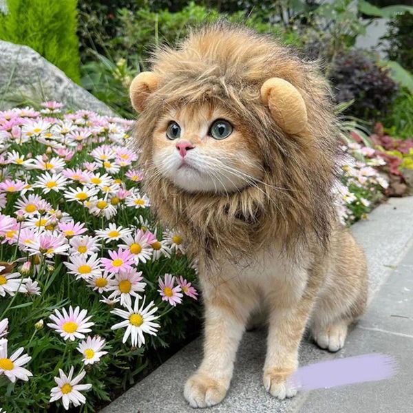 Trajes de gato bonito leão chapéu super macio estilo leve animal de estimação para pele respirável headwear para cães gatos pogal prop pequeno