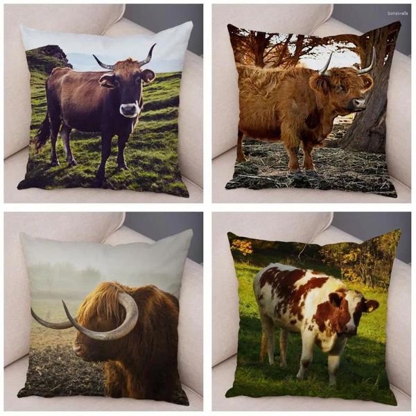 Travesseiro Escócia Kyloe Caso Decoração Vaca Selvagem Colorido Animal Impressão Fronha Macia Capa de Pelúcia Curta para Casa Sofá 45x45cm