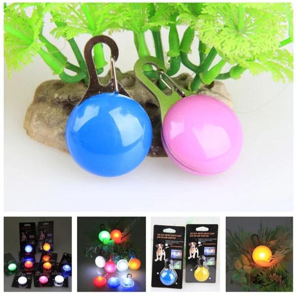 Collari per cani Luci notturne luminose Collana con collare 1 pz Cavi nel pendente Bagliore luminoso Accessori Flash scuro Il LED dell'animale domestico