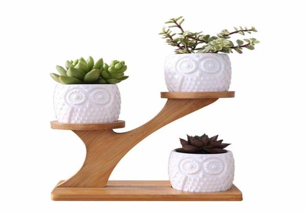 2 Stile Keramik Sukkulente Töpfe Garten Pflanzer für Pflanzen Bonsai Pot Bambuspflanzen Stand Sets Y09101209272