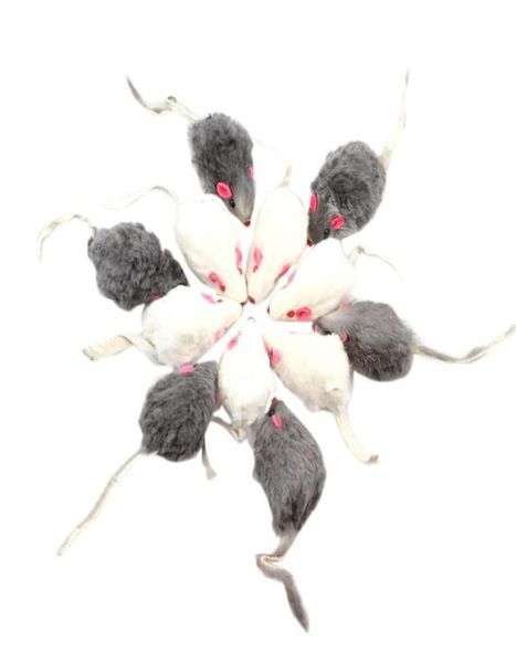 Cat oyuncakları 12 adet yanlış fare evcil hayvan uzun saçlı kuyruk fareleri çıngıraklı yumuşak gerçek kürk gıcırtılı toy7792365