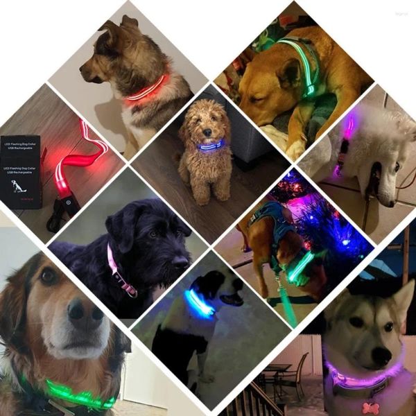 Köpek yakaları aydınlatma LED LED şarj edilebilir su geçirmez ayarlanabilir boyut gece evcil hayvan güvenlik kolyesi