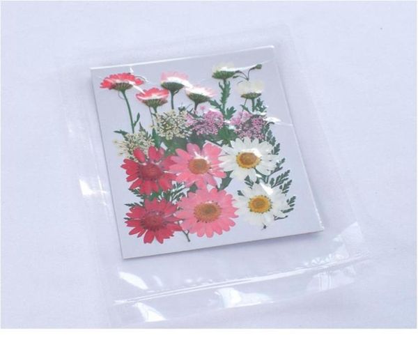 Pequenas plantas secas de flores secas reais para vela resina epóxi pingente jóias que fazem artesanato diy a jllkua2897100