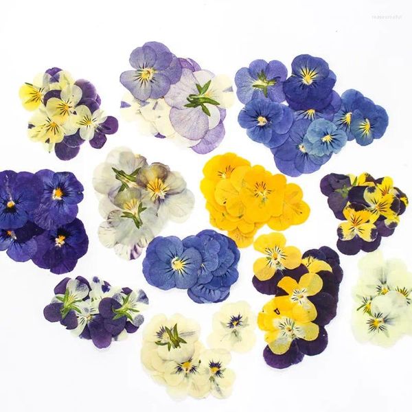 Fiori decorativi 120 pezzi pressati filler di fiori in pansy secchi per la collana a pendente resina epossidica gioielli che producono accessori fai -da -te artigiani