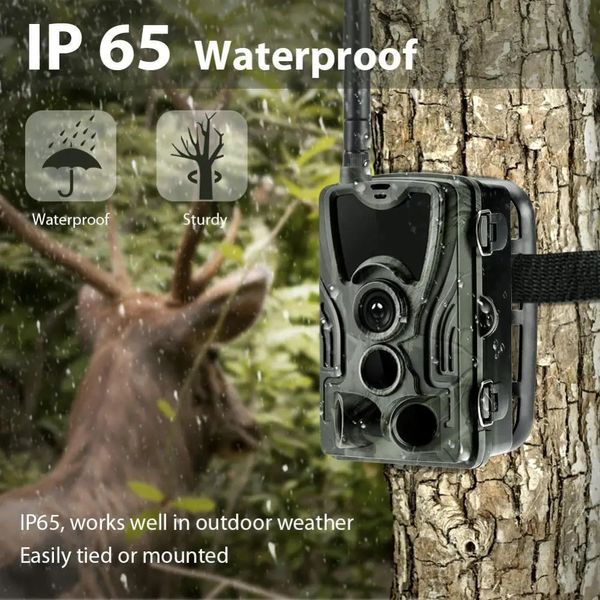 Wildlife Trail -Kamera -Jagdkameras Infrarot 2G MMS PO Videoüberwachung 16 MP 1080p SMS Nachtsicht 231222