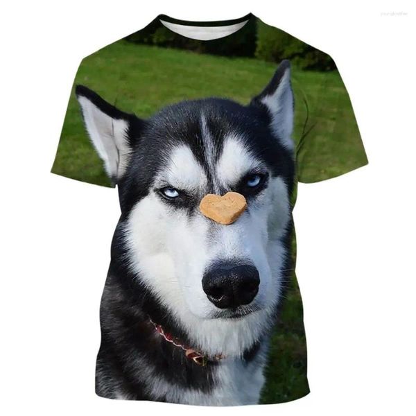 Erkek Tişörtleri Yaz Komik Evcil Köpek Husky 3D Baskı T-Shirt Moda Unisex Casual Harajuku Sokak Stil Yuvarlak Boyun Kısa Kollu T-Shirt