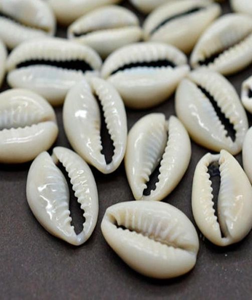 Itens de novidade 100pcs a granel Cut Shell Cowrie Cowry Shells Beach Acessórios de jóias DIY Decoração Lors8899129957