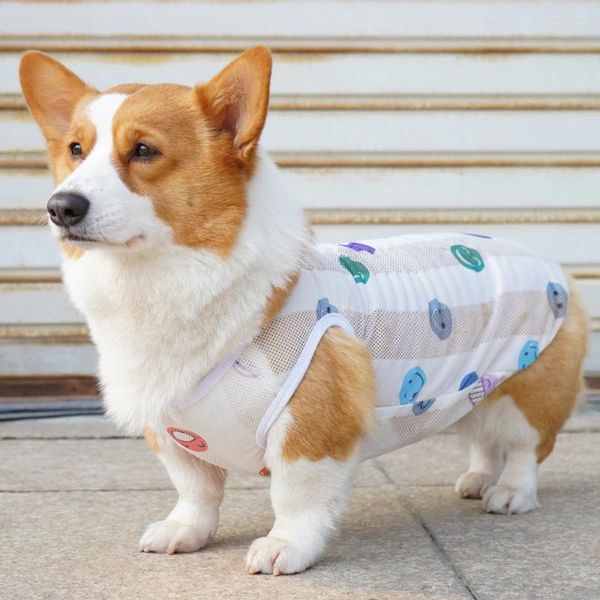 Hundebekleidung Sommer Haustier Kleidung Dünne Abschnitt Cool Weste Katze Anti-Fall-Kostüm-Designerprodukte