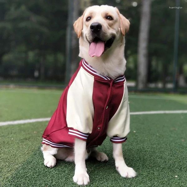 Vestuário de cachorro primavera uniformes de beisebol de outono de mola média grande casacos de estimação cachorrinho de cachorro labrador Golden retriever roupas grandes