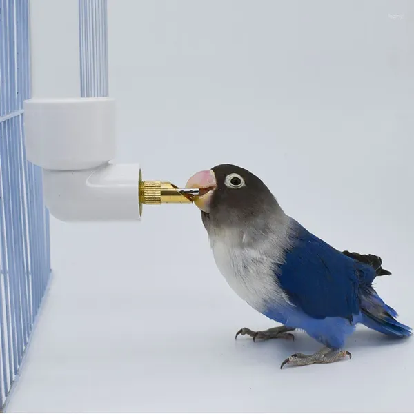 Altre forniture per uccelli da 130 ml di pappagallo da bere bollitore grande alimentatore automatico per acqua centeca centesca da tazza da esterno samll bevitore