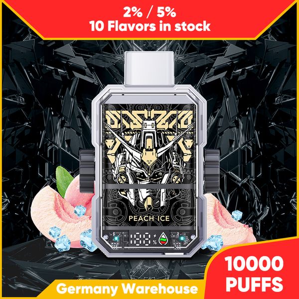 10000 Puffs E Liquid Vape Pen 14 ml 2 % 5 % Europa Einweg-Vape E-Zigarette