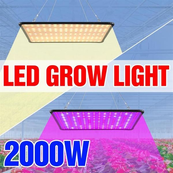1000W Phyto Lampe LED Full Spectrum Grow Lampe 1500W Phyto Wachstum Licht 2000W LED -Innenpflanzen Glühbirnen US EU UK Plug Fitolampy255d
