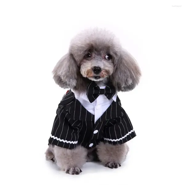 Abbigliamento per cani Costume da abito a strisce eleganti con camicia da cosplay con papilla che vesti abiti per il matrimonio di compleanno di Halloween Drop di compleanno