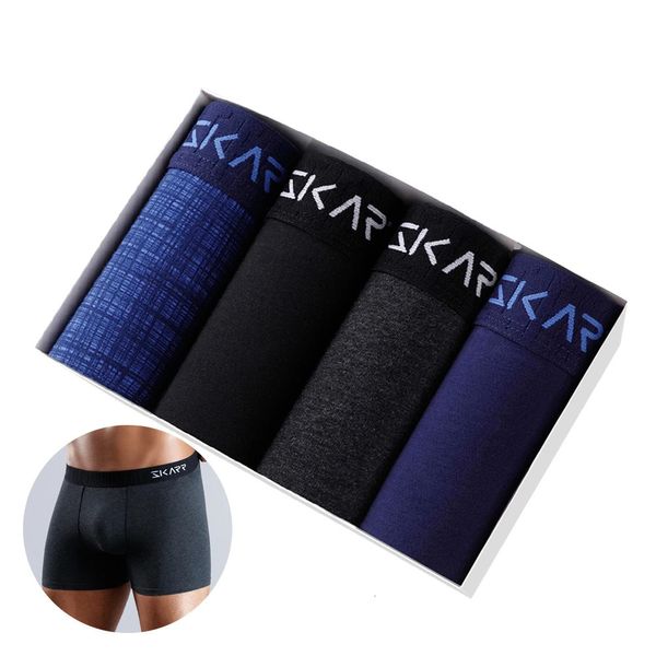 Herren -Höschen Set sexy Boxer Baumwolle für Mann undrehear Marke Underpants männliche Boxershorts Großhandel Unterwäsche Herren Boxer Shorts 231221