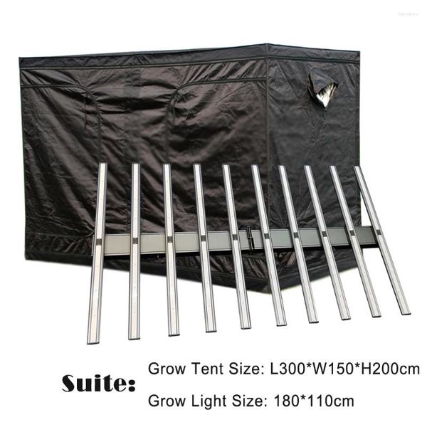 Luci di coltivazione 300 150 Tenda da 200 cm Set con luce LED 1000W 3000K 5000K Mix 660nm 470nm per la crescita idroponica a serra dell'agricoltura interna