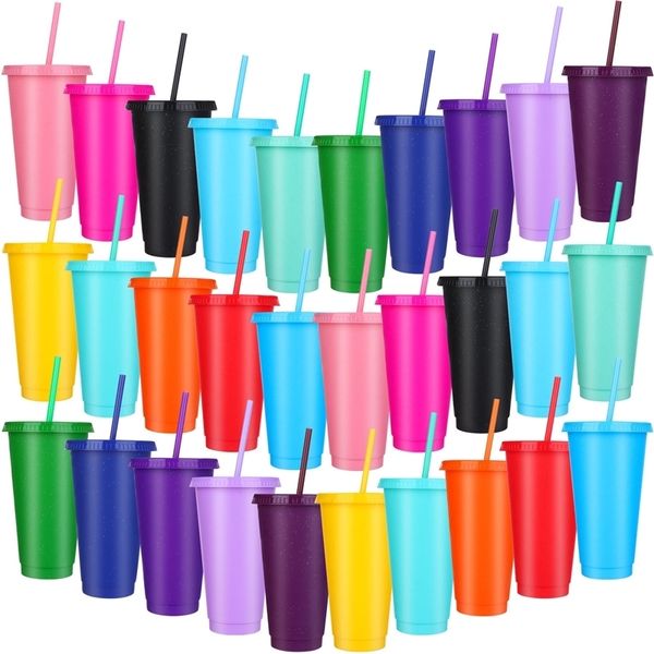 30 Pack 24 Unzen Becher mit Stroh und Deckelschüttung Plastik wiederverwendbares farbenfrohe Becher Iced Coffee Tasse Tasse Wasserflasche für Partys BIR 231221