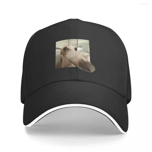 Ball Caps Funny Dog Baseball Cap Trucker Hats Hat Hat Women's Beach Outlet maschi