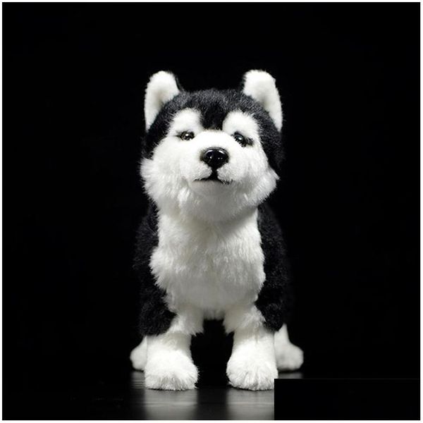 Animali di peluche imbottiti 25 cm giocattolo per cani husky siberiano con occhi marroni/ blu lifetti di giocattoli per animali in Alaskan Malamute Regali di Natale 201212 DHFSQ