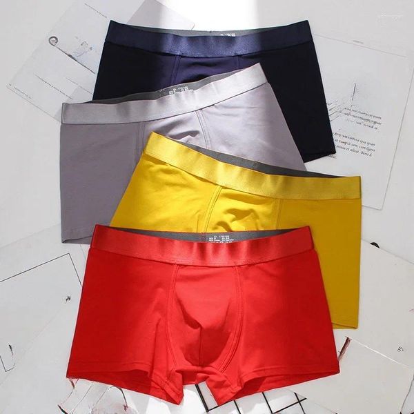 Cueca cueca masculina algodão puro penteado boxeadores de cintura respirável explodiram homens sólidos macios e finos