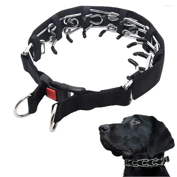 Tamanhos de beliscão de colarinhos de cachorro Poron NO para todos com conforto de capa S e Rickle Fivelellel Pull Training Training Nylon Collar Pets