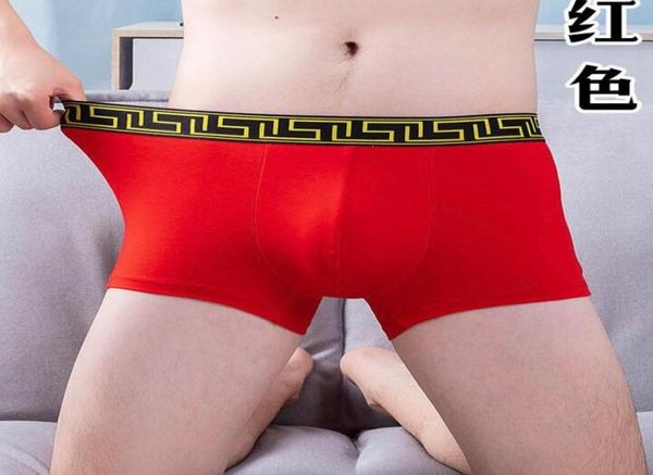 Nuovi uomini Underpants Intwear fisiologici Magnetic Health Shorts Shorts Tourmaline Prostata Magnetic Therapy Penis Enlorgeme2358927