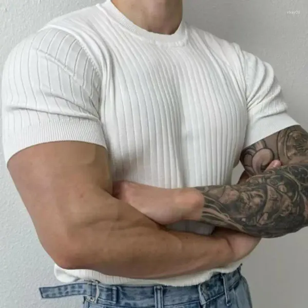 Erkek Tişörtleri Yaz Erkekler İnce Örgü İnce Uygun Elastik Kısa Kol O Boyun Tee Moda Düz Renk Şahinli Kas T-Shirt Erkek