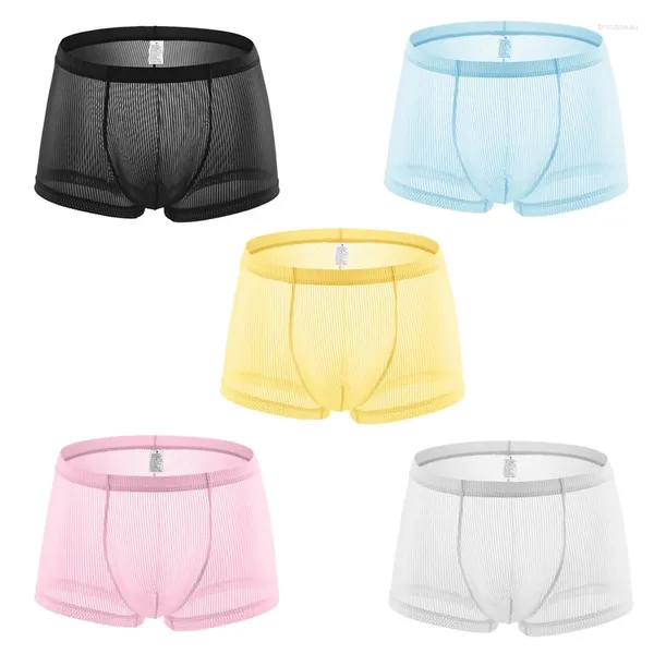 Underpants 5pcs por atacado homens roupas íntimas sexy listras transparentes boxer boxer