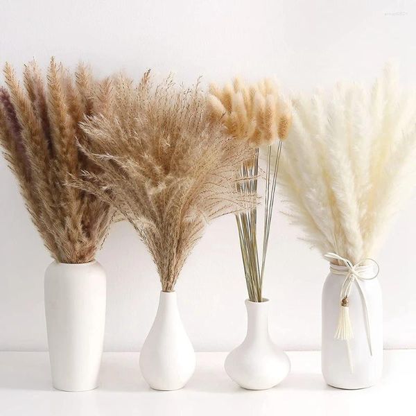 Dekoratif Çiçekler 15 PCS Beyaz Pampas Kahverengi 30 PCS Reed Grass Buket Doğal Kabarık Gökler Düğün Dekorasyonu Boho Dekor