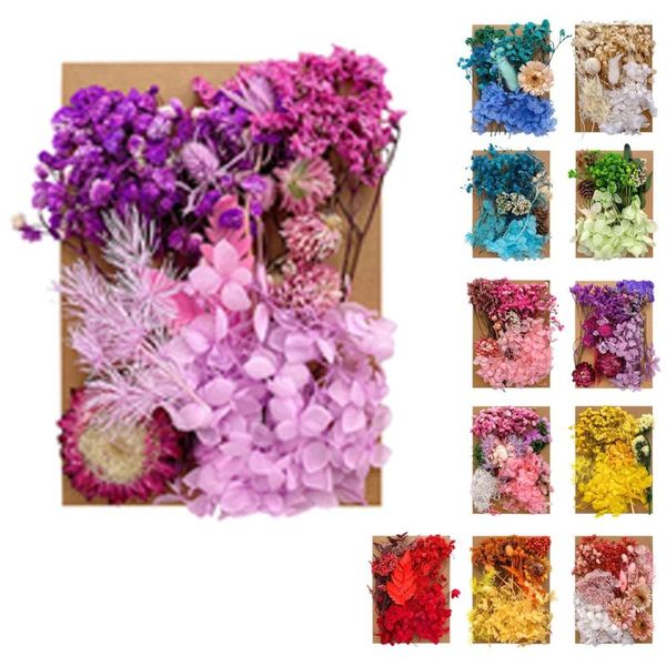 Flores decorativas misturadas múltiplas coloridas secas para resina moldes de jóias multicoloria