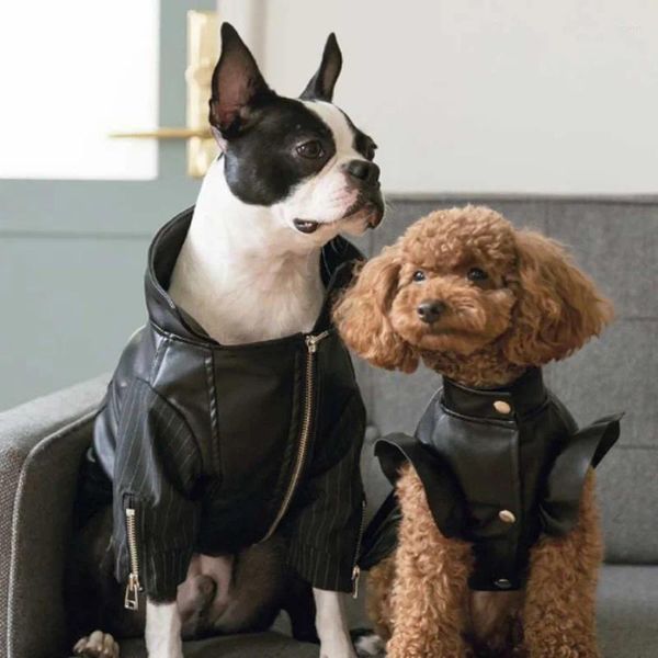 Hundebekleidung Frühling und Herbst Tragen Sie einen kleinen, mittelgroßen VIP Bixiong Pomegi Doll Pet Lovers Ledermantel