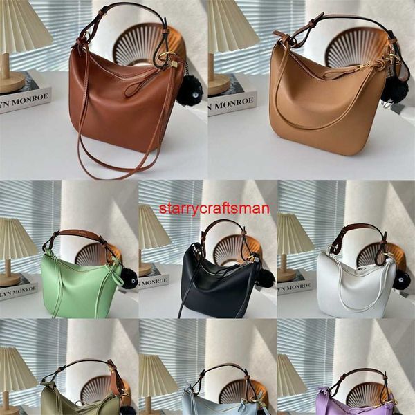 Borsa Hobo Amaca Borse a tracolla di lusso da donna Loewies Luojia Borsa a tracolla Catena Rete alla moda francese Stella rossa Trucco moda Nuovo Explosive Hobodiy HB6C