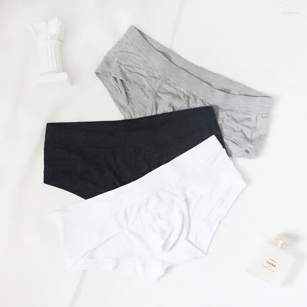 Underpants Triangle Modal Modal Bash Wihing Sexy Tight Pants for Boys White Sports Student Trendy Toe Trendy