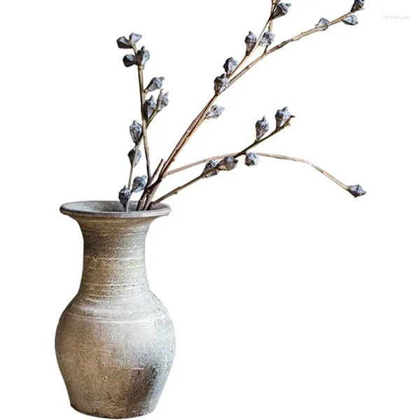 Dekorative Blumen 6 Stiele getrocknetes Wohnkultur TALL 40-50 cm Natural Eucalyptus globulus Fruchtblume Bündel keine Vase