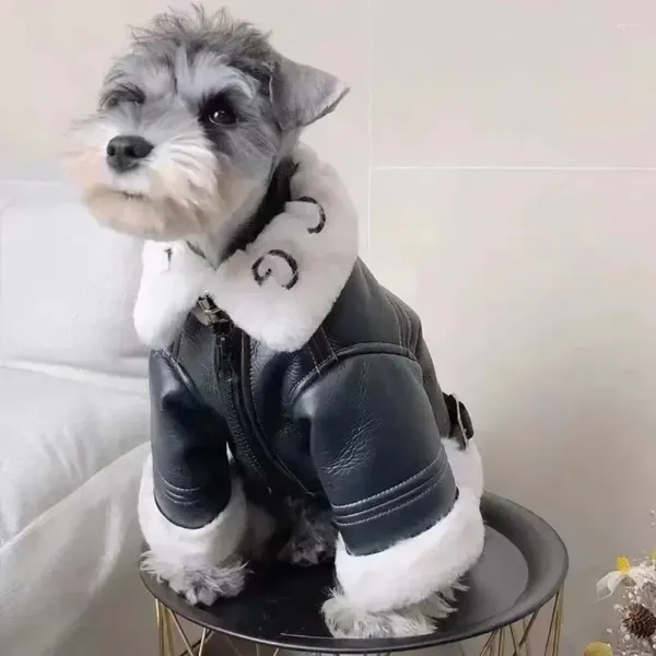 Hundebekleidung Haustierbekleidung Winter Herbst Warme Jacke Welpe Wolle Modepullover Cooles Leder Chihuahua Klein