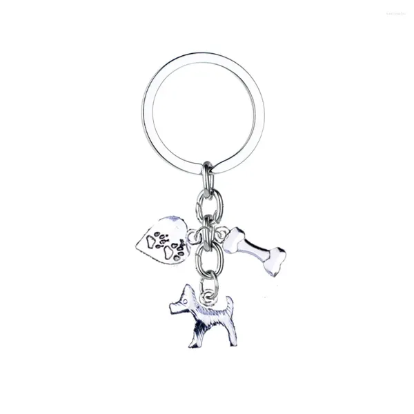 Schlüsselanhänger 12pc Großhandel Schöne kleine Hunde Knochenknochen Herzpfoten Drucke Charme Keyring Wallet Bah Frauen Mädchen Schlüsselkette Geschenk Freunde Männer Geschenke BFF