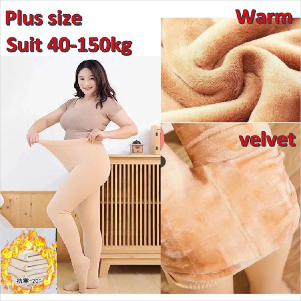 Grande grande por grande tamanho Mulheres de veludo de espessura de inverno de inverno Meias meias de elasticidade das mulheres calcinha de outono grávida 231225