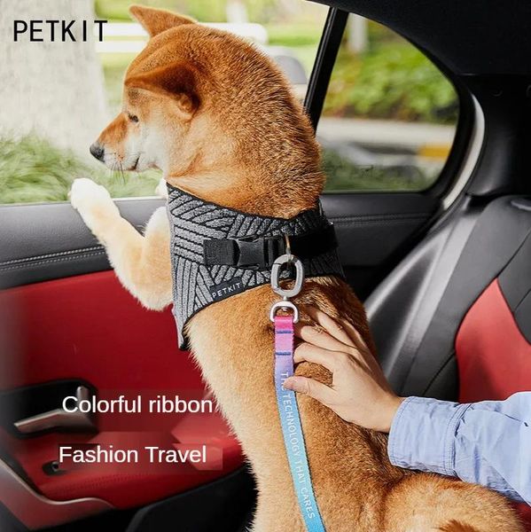 Control PETKIT Cintura di sicurezza per auto colorata per animali domestici Pettorina di sicurezza per auto per cani di piccola taglia Forniture per cani resistenti e durevoli Accessori per cani