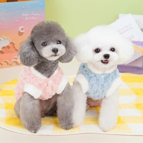 Dog Apparel Cat and Roused Teddy Bear Pleligh